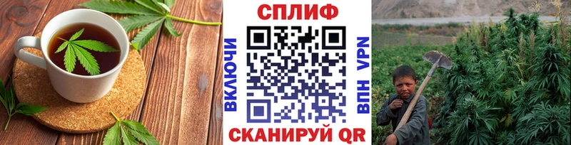hydra зеркало  Городище  Canna-Cookies конопля 