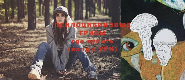 амф Сясьстрой
