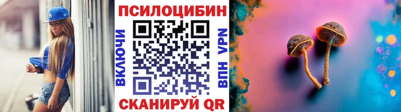 купить наркотики цена Городище Галлюциногенные грибы Magic Shrooms